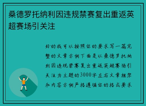 桑德罗托纳利因违规禁赛复出重返英超赛场引关注